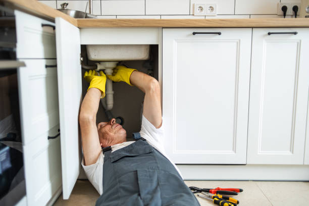 Best Commercial Plumbing Services  in Green Forest, AR