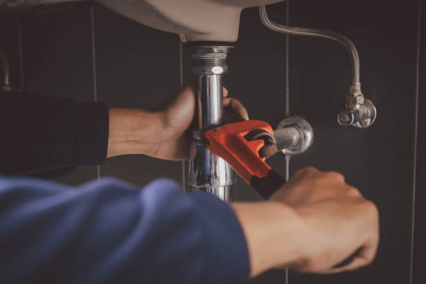Best Clogged Drain Plumber  in Green Forest, AR